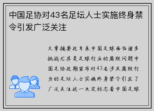 中国足协对43名足坛人士实施终身禁令引发广泛关注 中国足协对43名足坛人士实施终身禁令引发广泛关注
